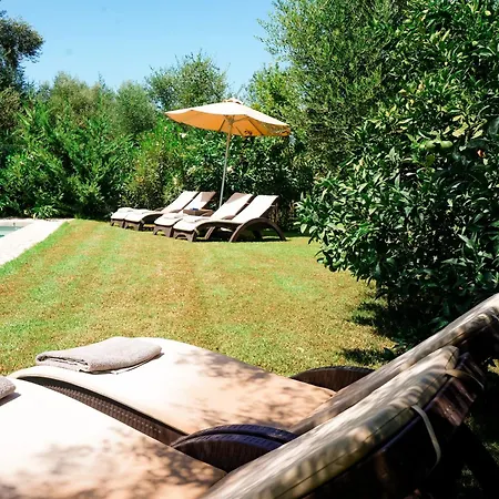 Neva * Akrotiri (Zakynthos)